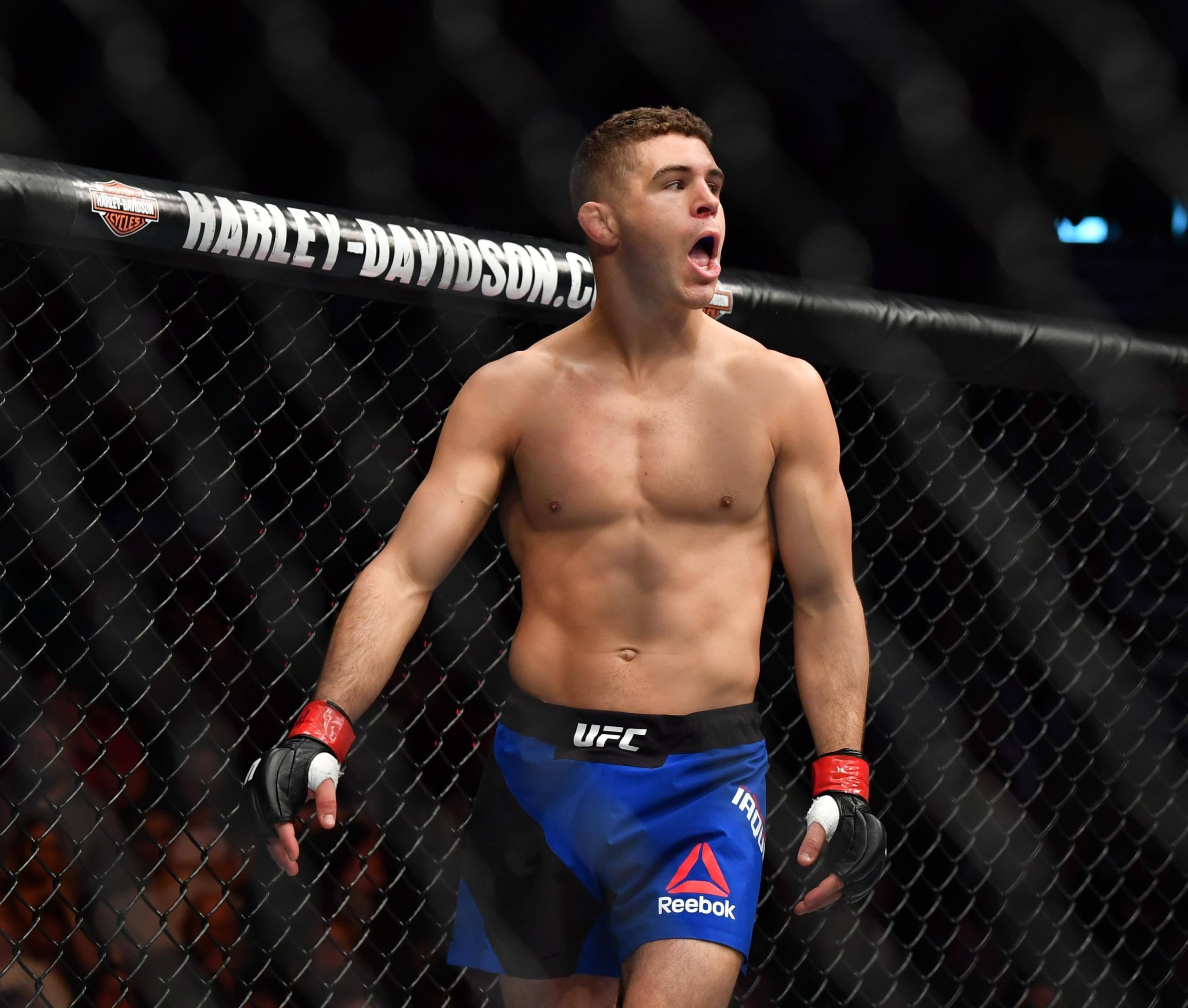 Al Iaquinta Khabib Nurmagomedov UFC 223