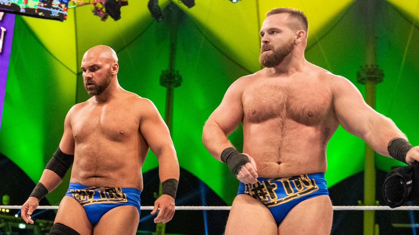 WWE Releases The Revival