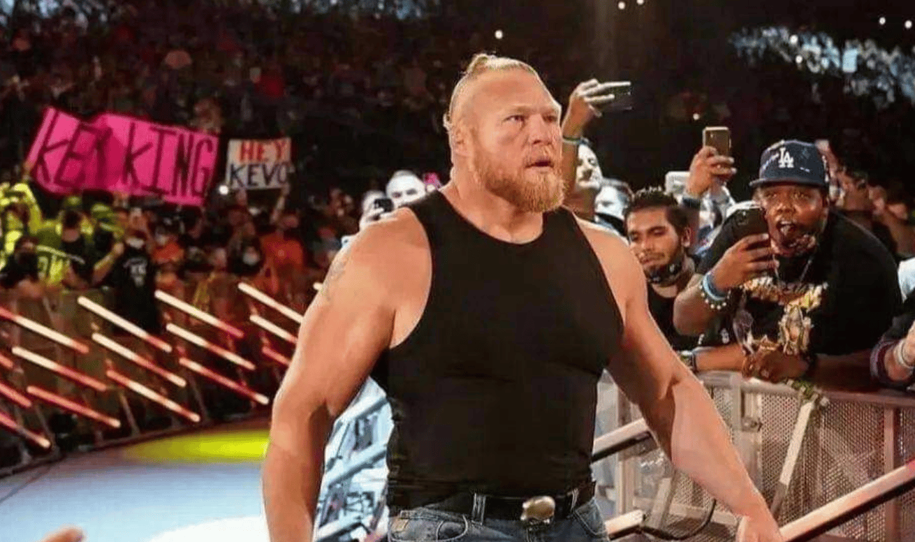brock lesnar not wrestling