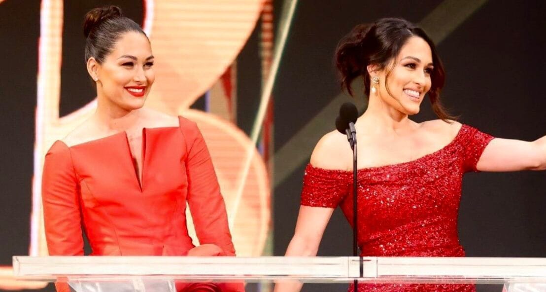 brie nikki bella no