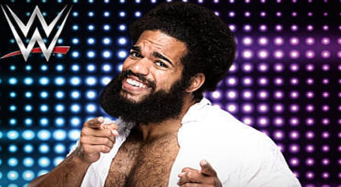 Is Released Superstar Returning To WWE, Bra