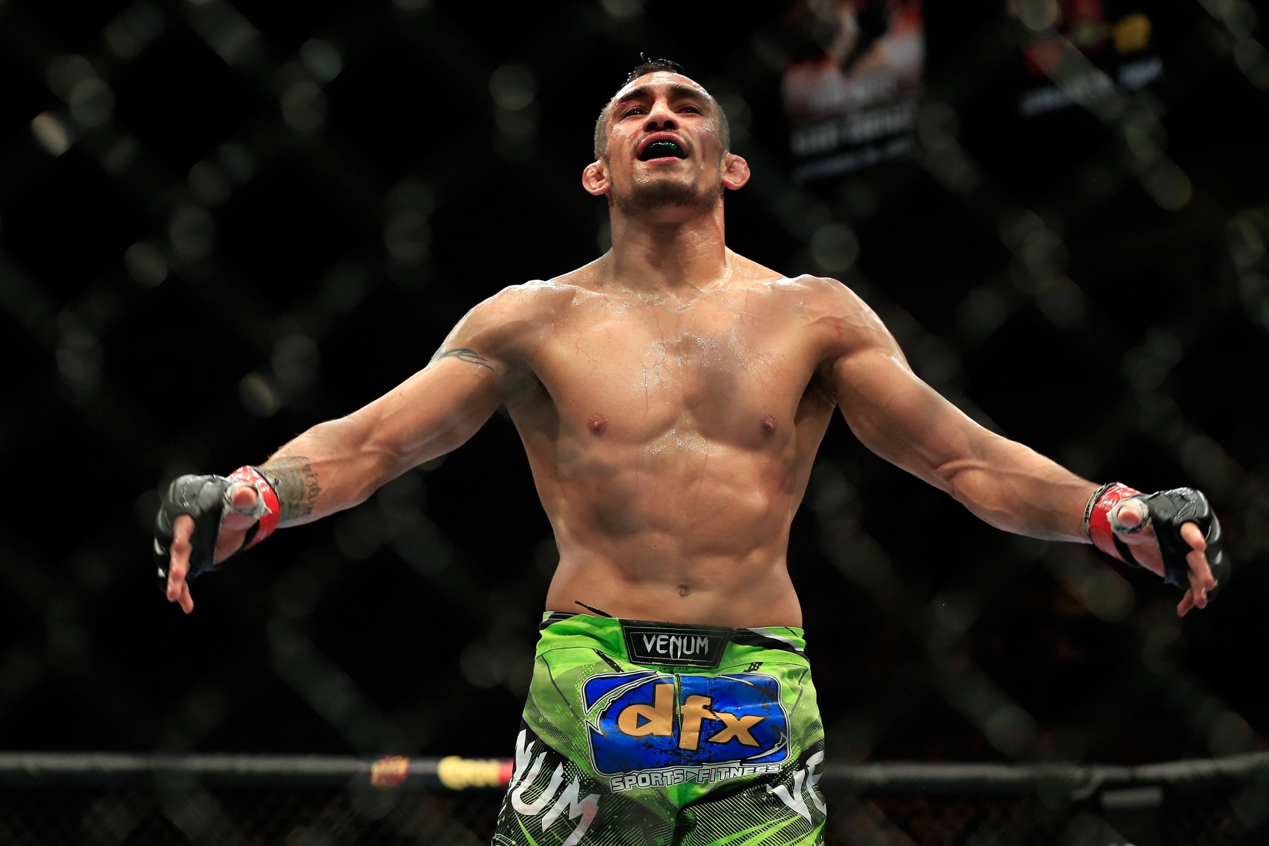 Ferguson UFC 229
