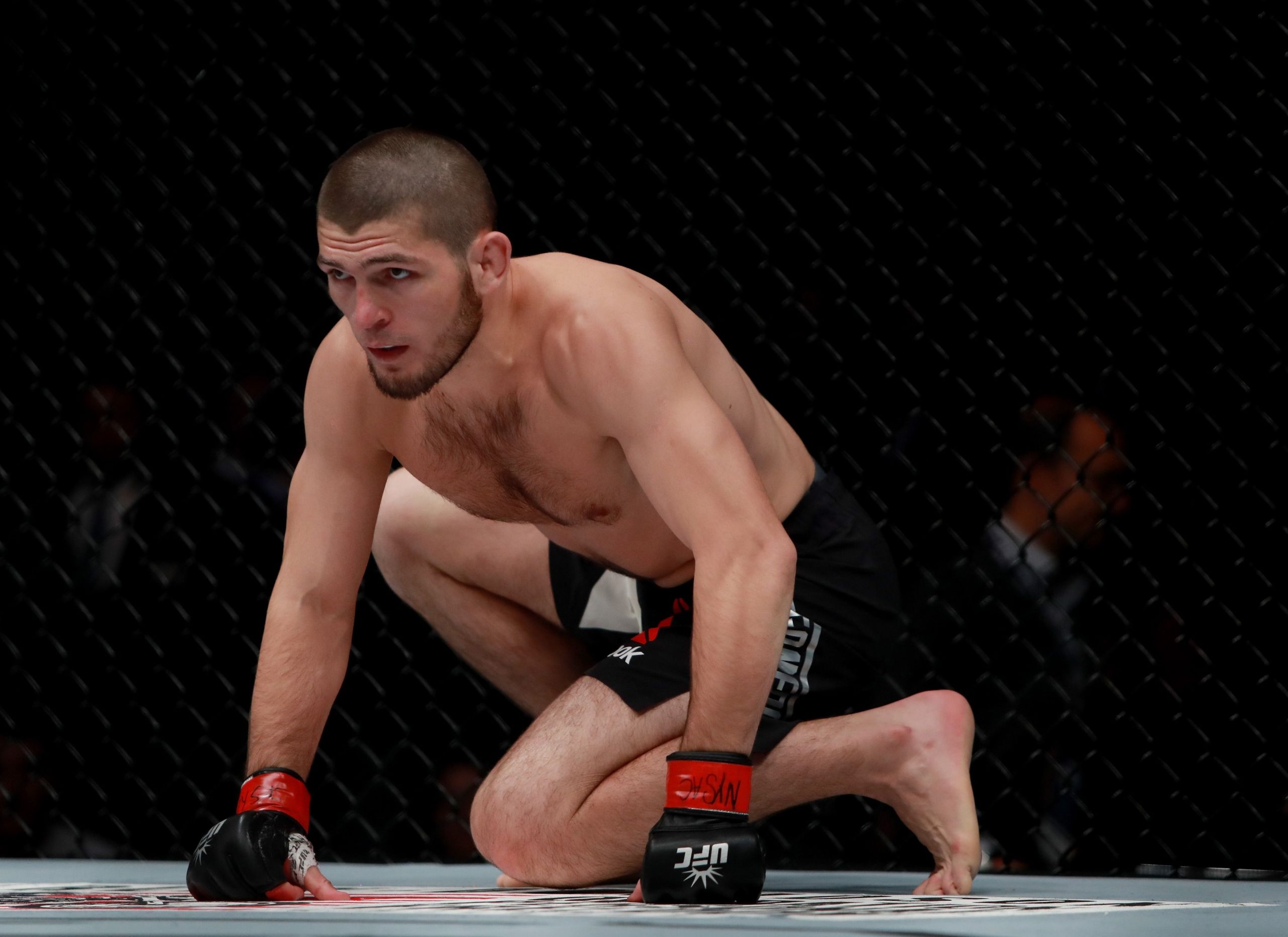 Nurmagomedov UFC 229