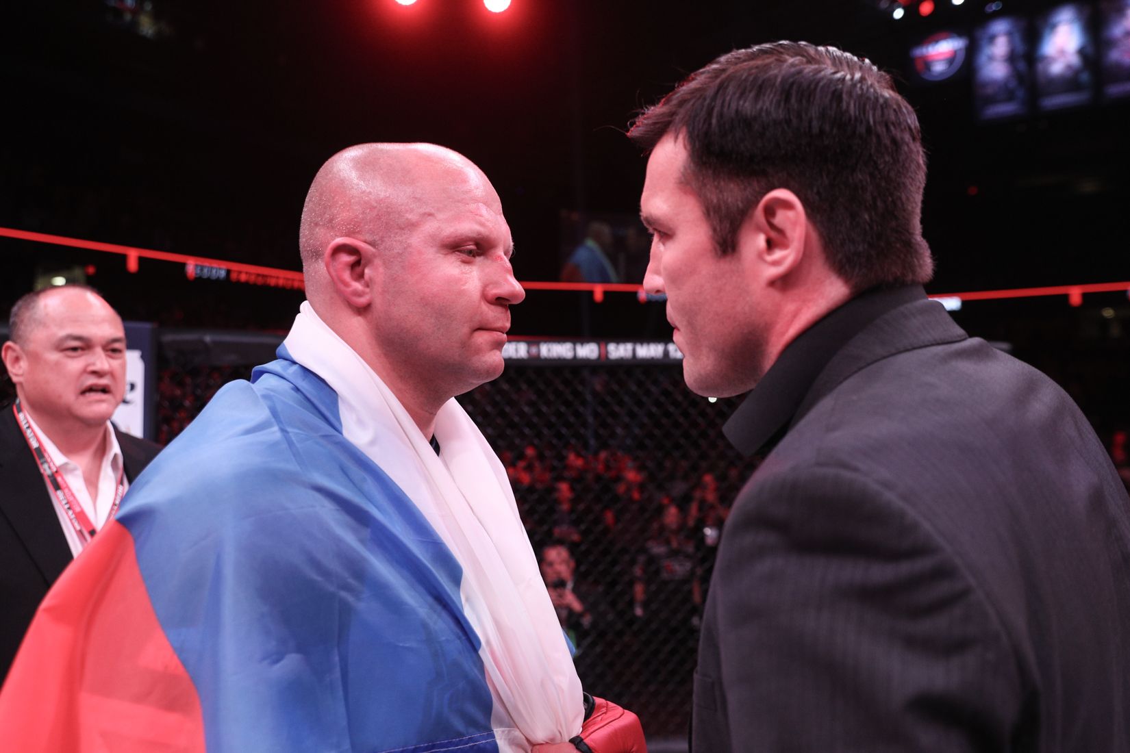 Fedor and Sonnen