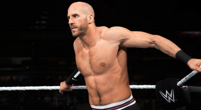WWE Cesaro