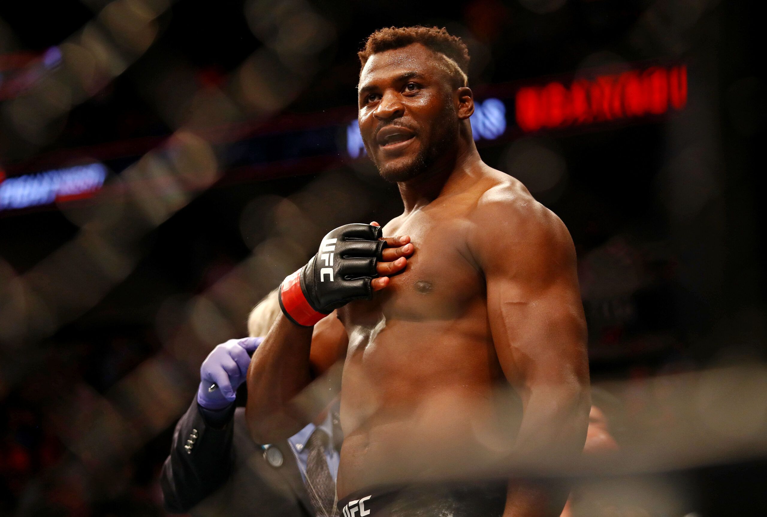 francis ngannou