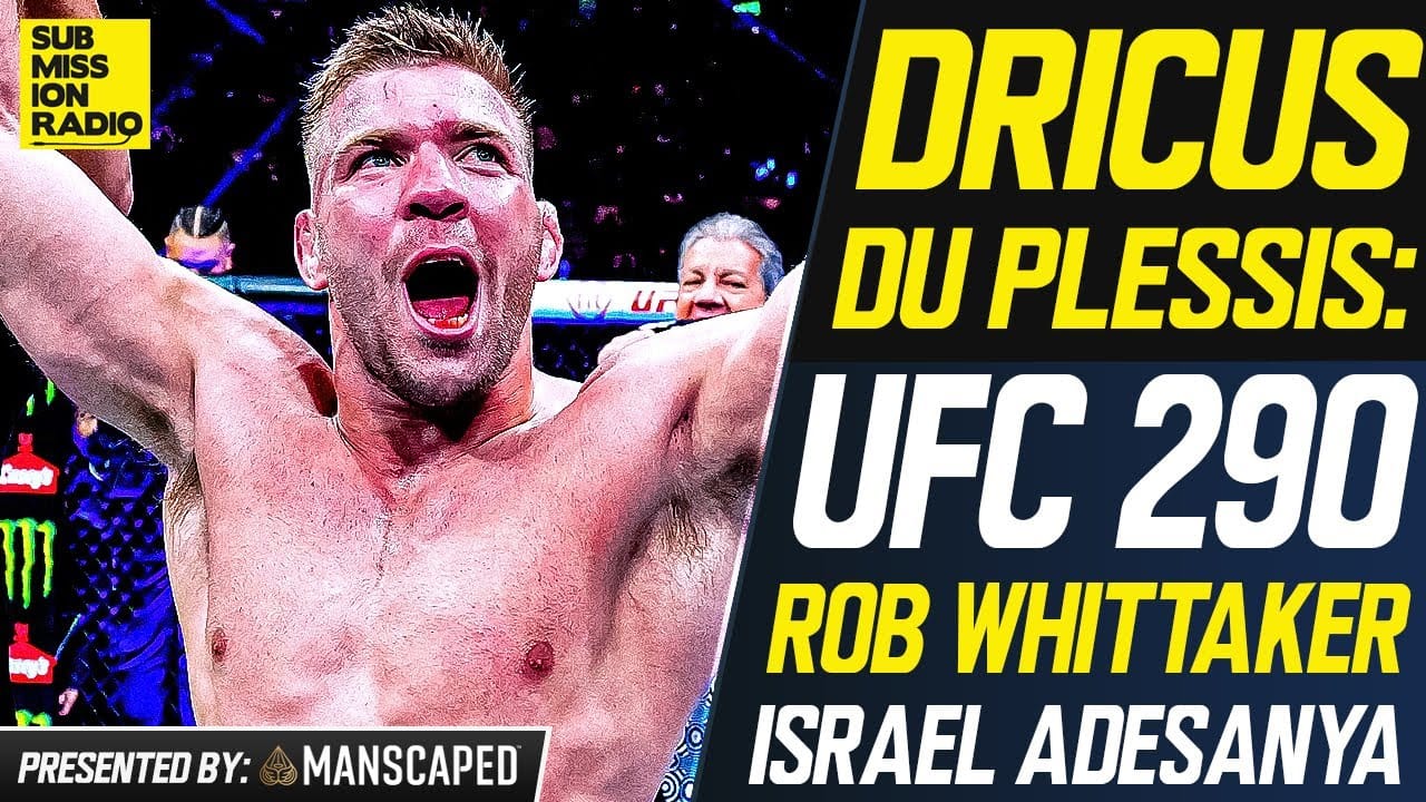 UFC 290
