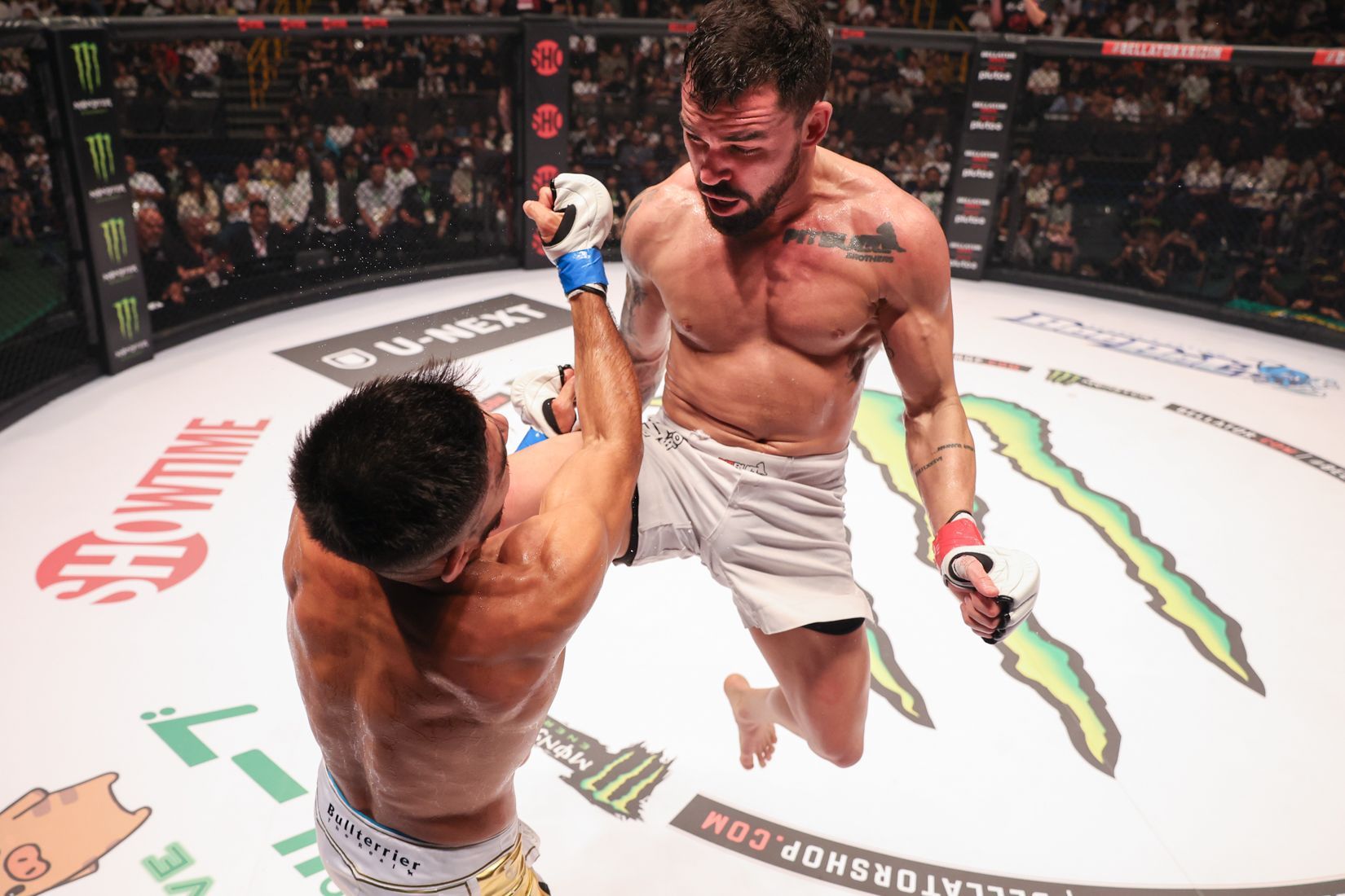 Patricky Pitbull