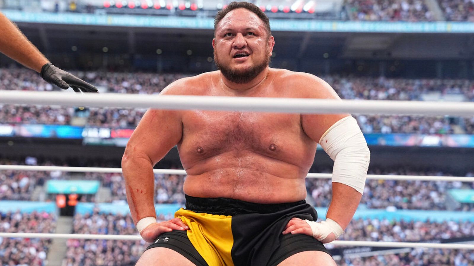 Samoa Joe