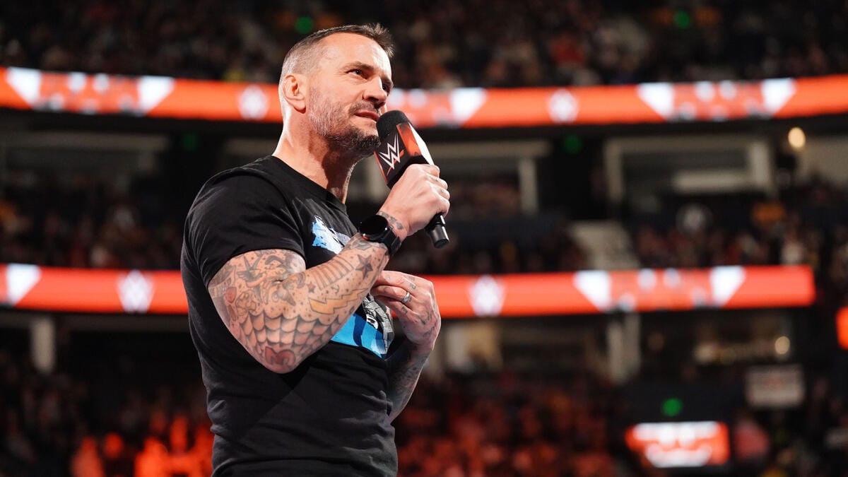 cm punk, the rock