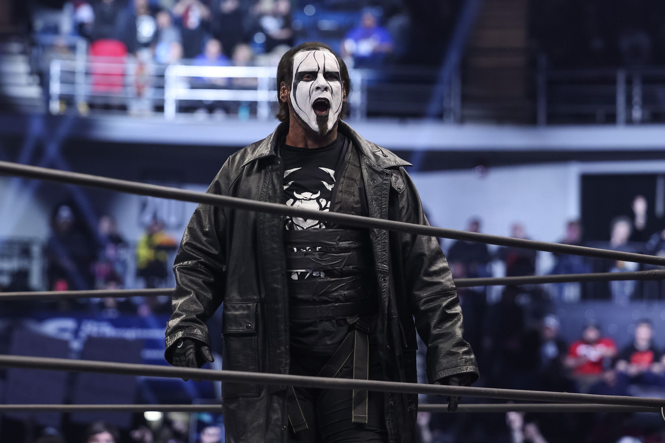 sting, wwe