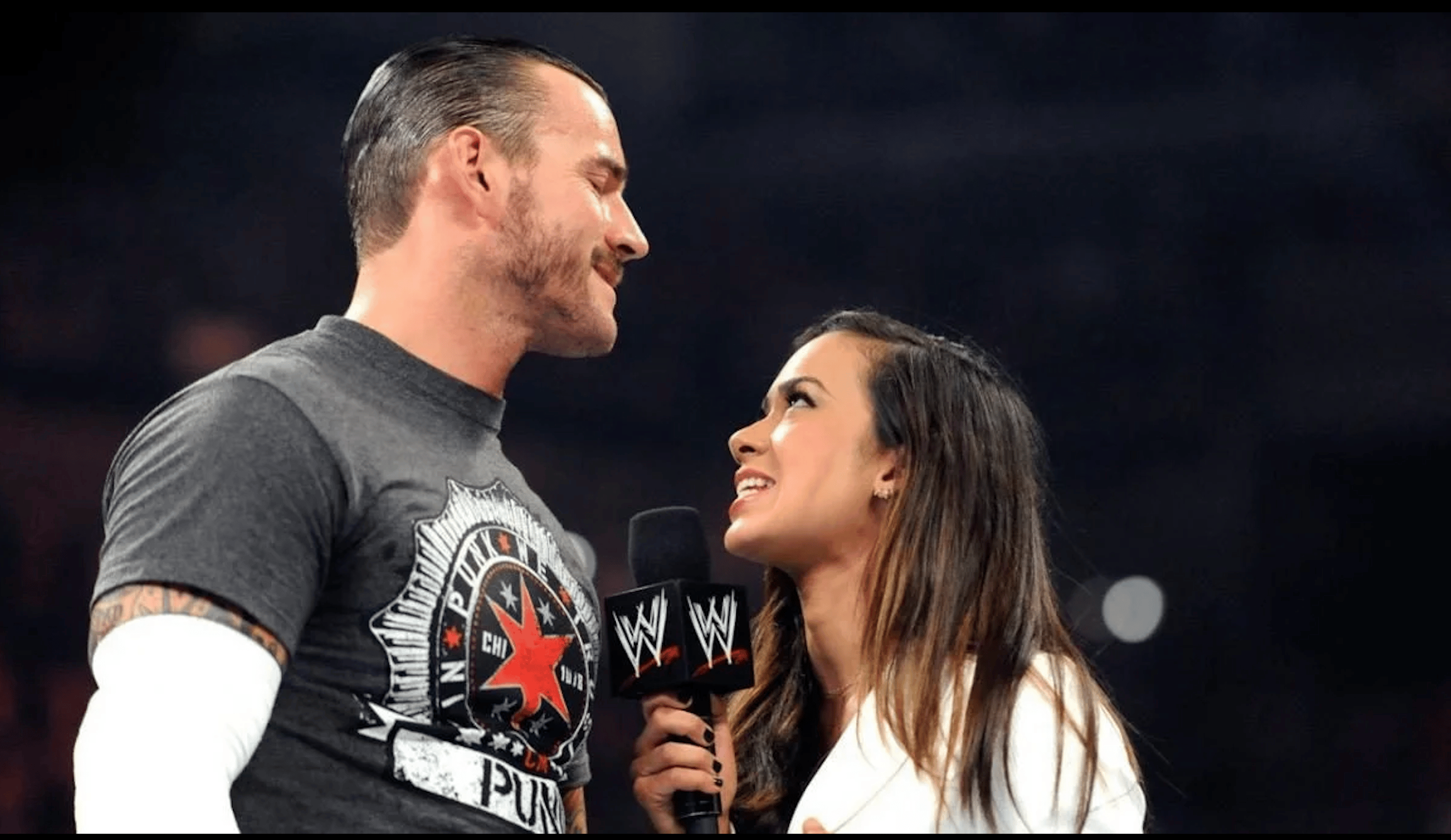 CM Punk AJ Lee WWE
