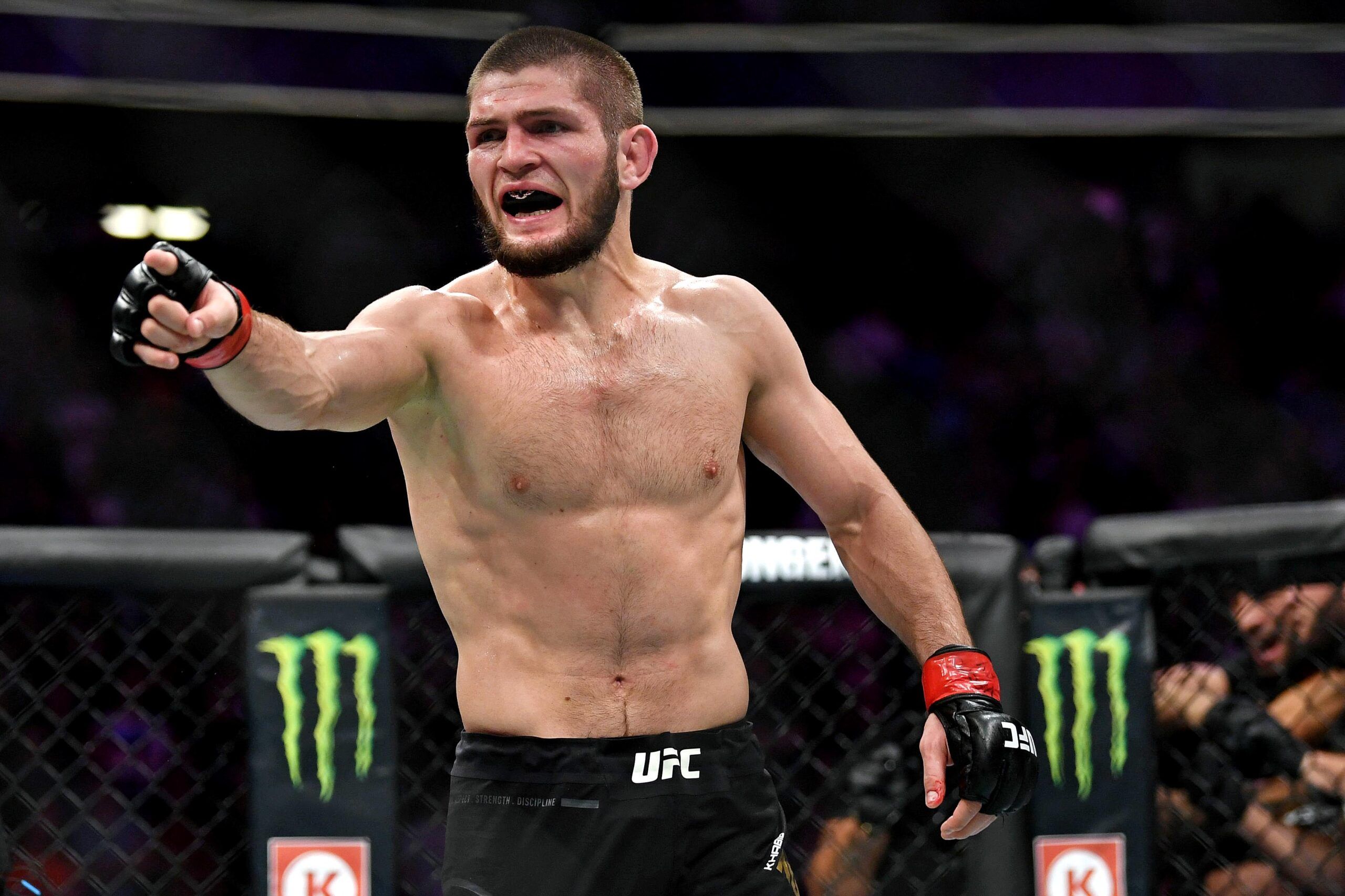 khabib nurmagomedov