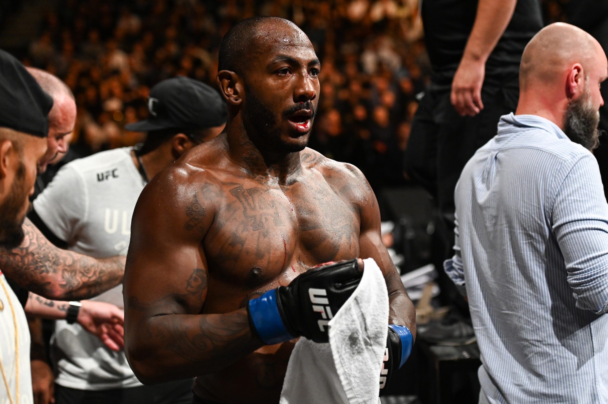 UFC 303