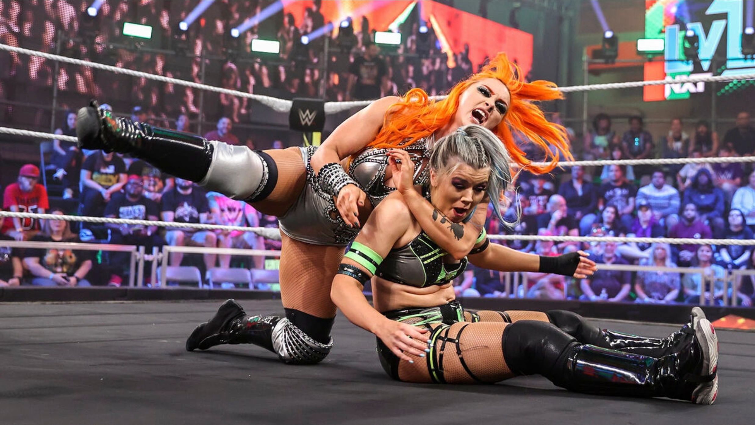 nxt program gigi dolin