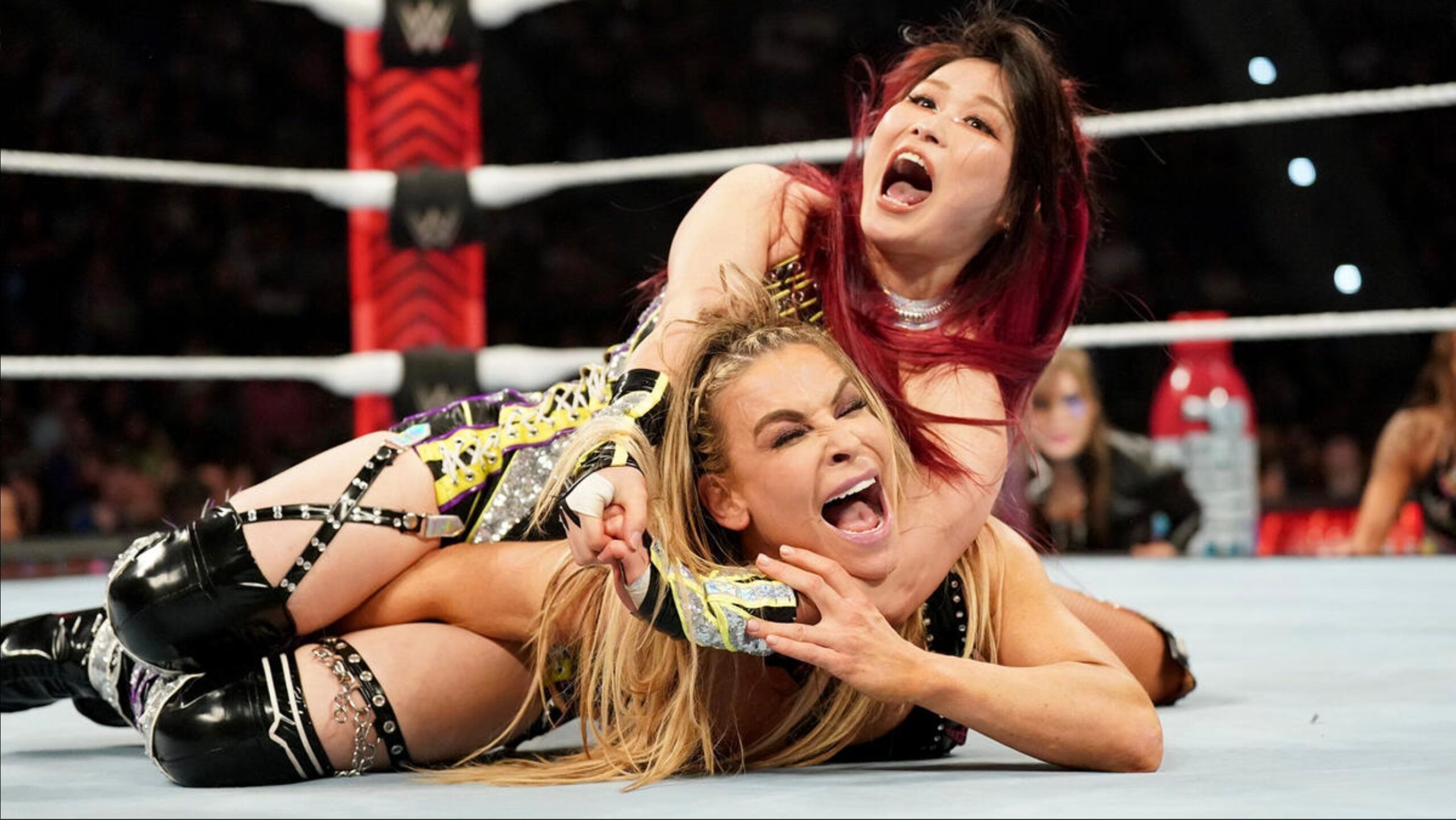Natalya New Deal Free Agent
