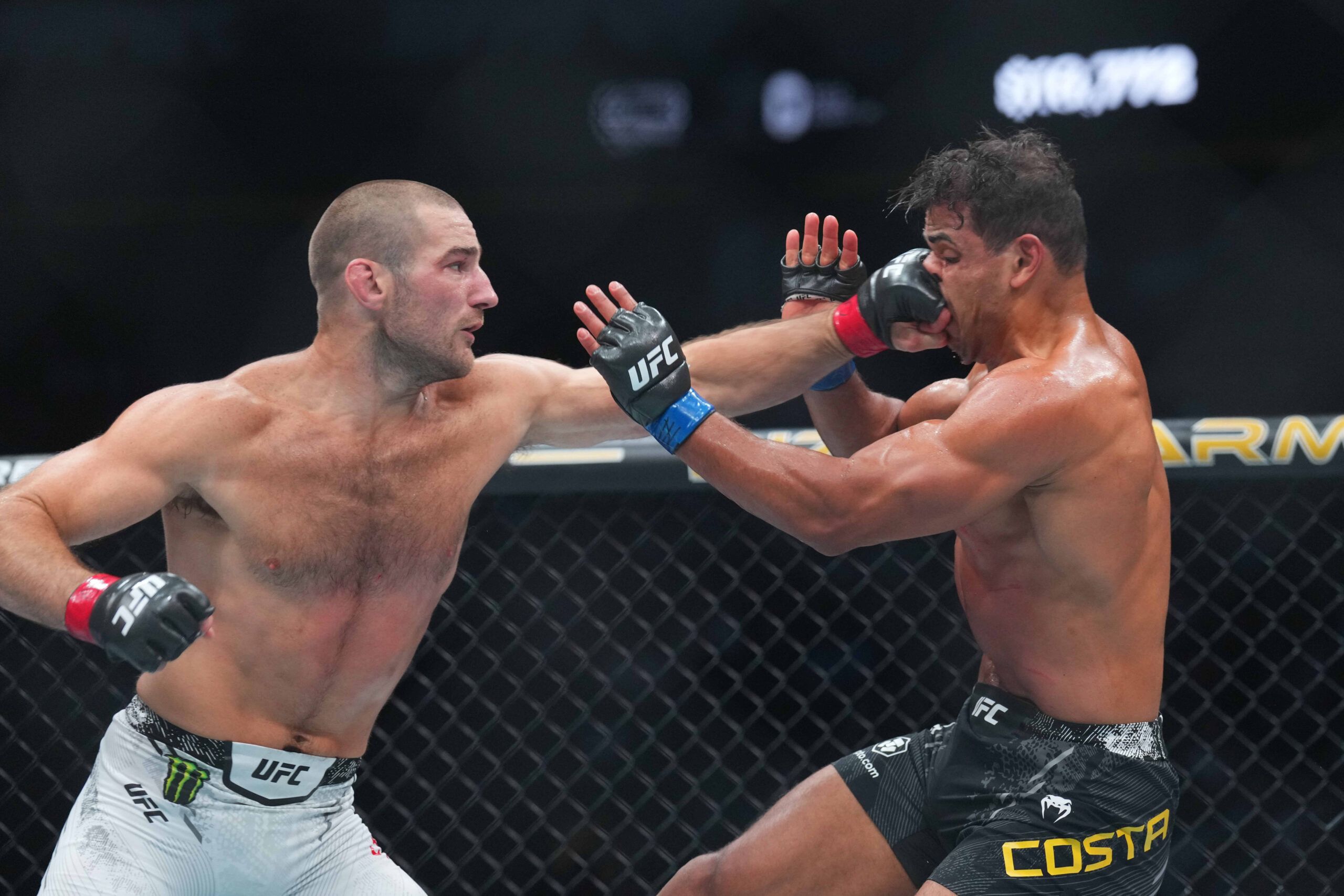 ufc 302