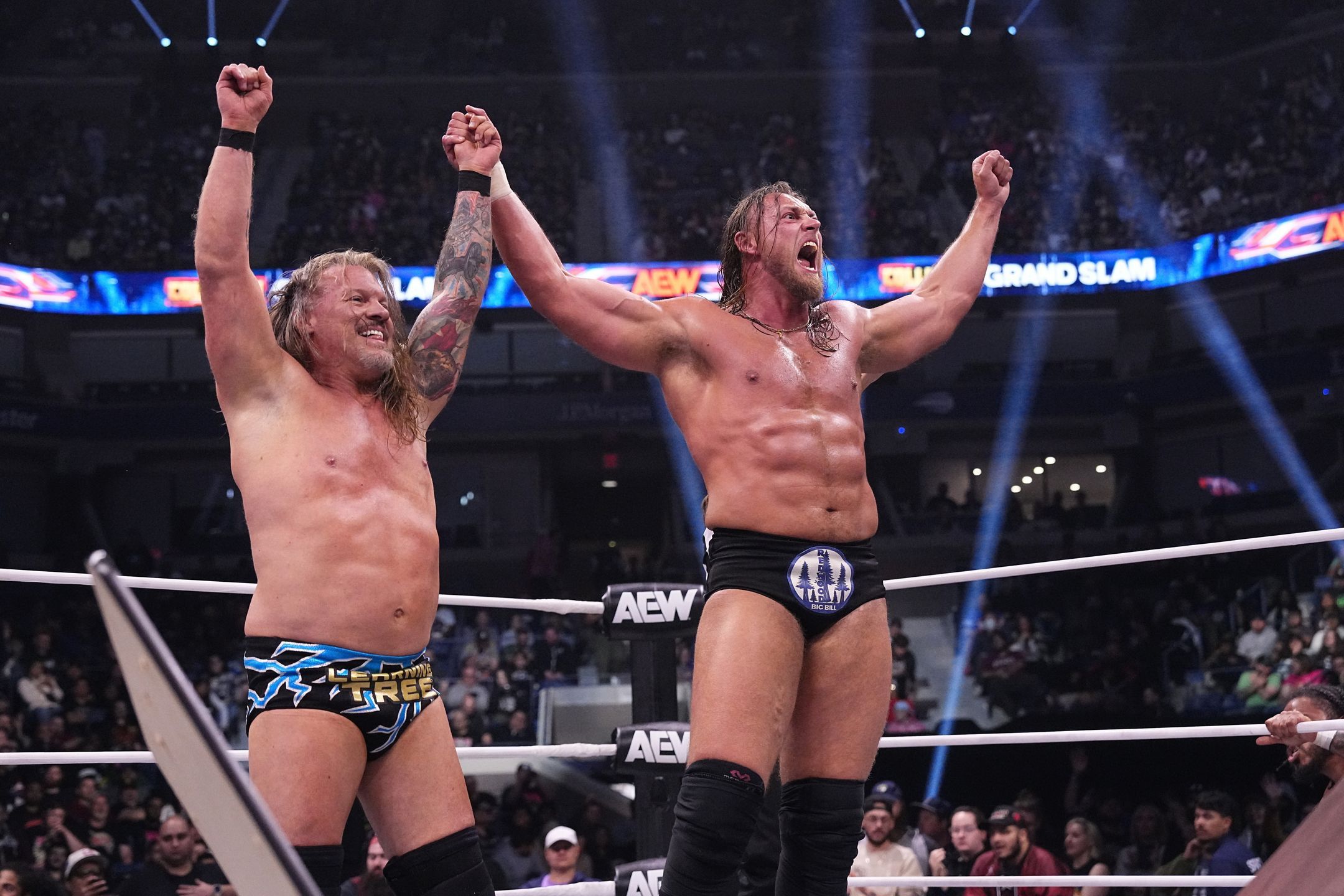 Chris Jericho ROH World Championship