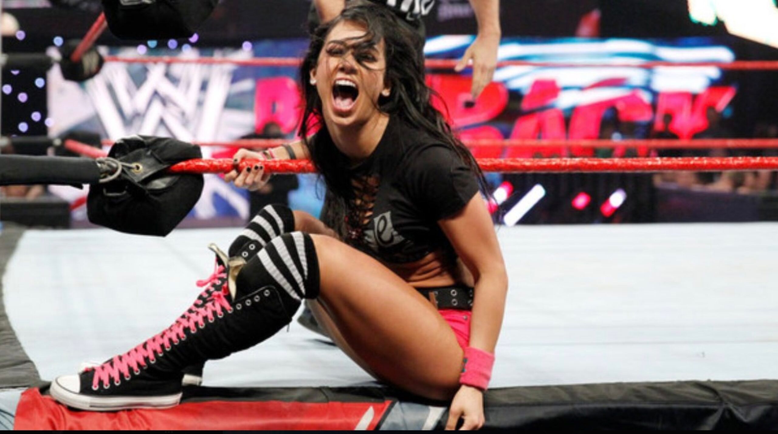 AJ Lee CM Punk