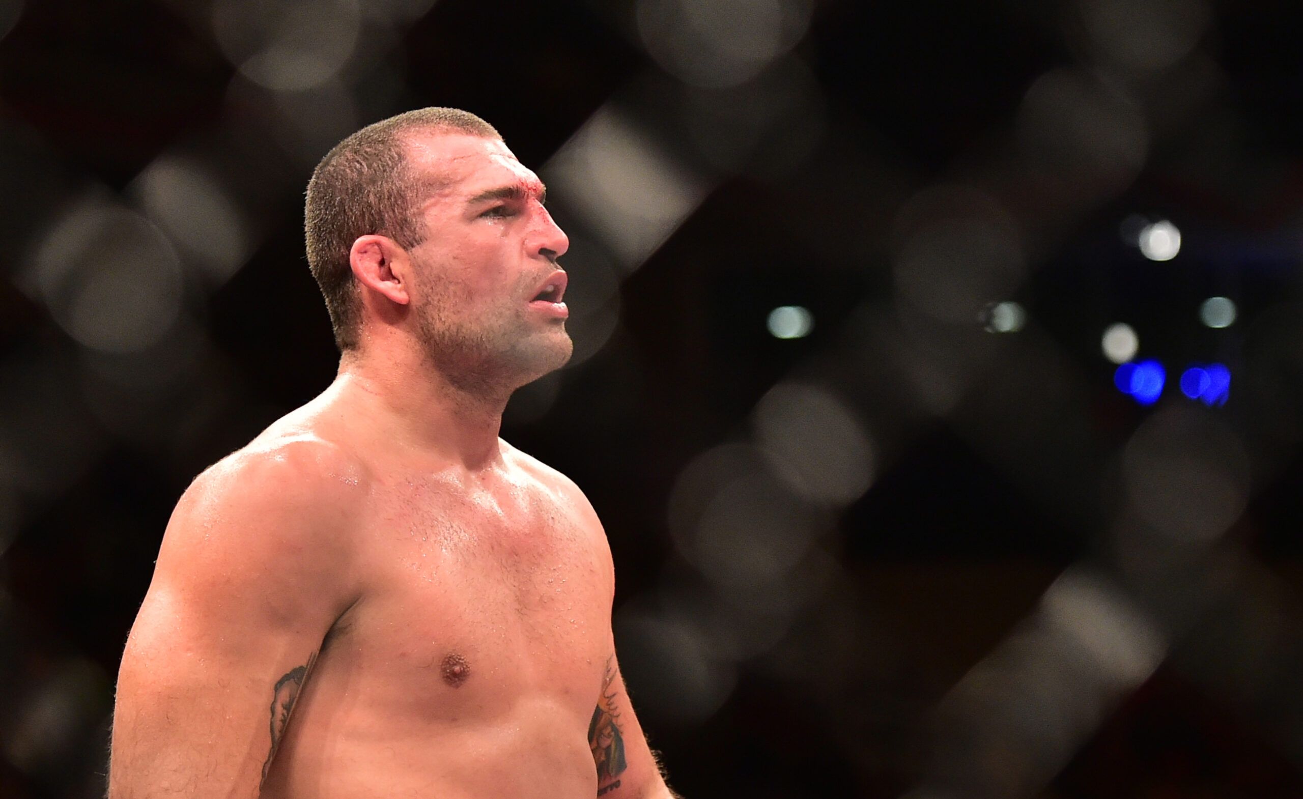 Shogun Rua