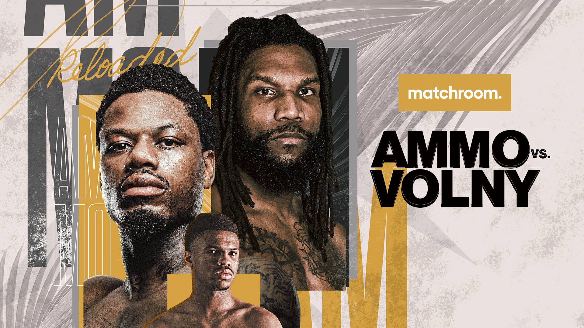 williams vs volny DAZN
