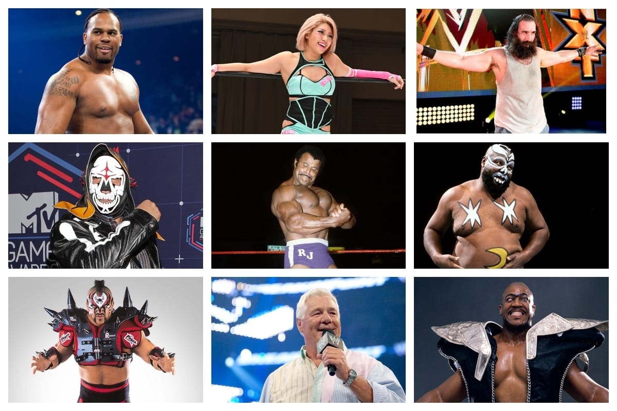 Wrestling Stars Lost 2020