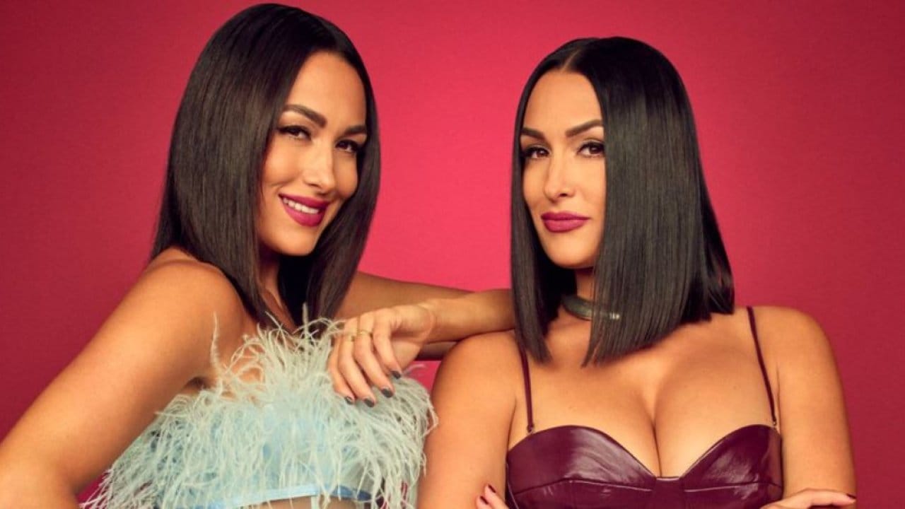 Bella Twins Vince McMahon