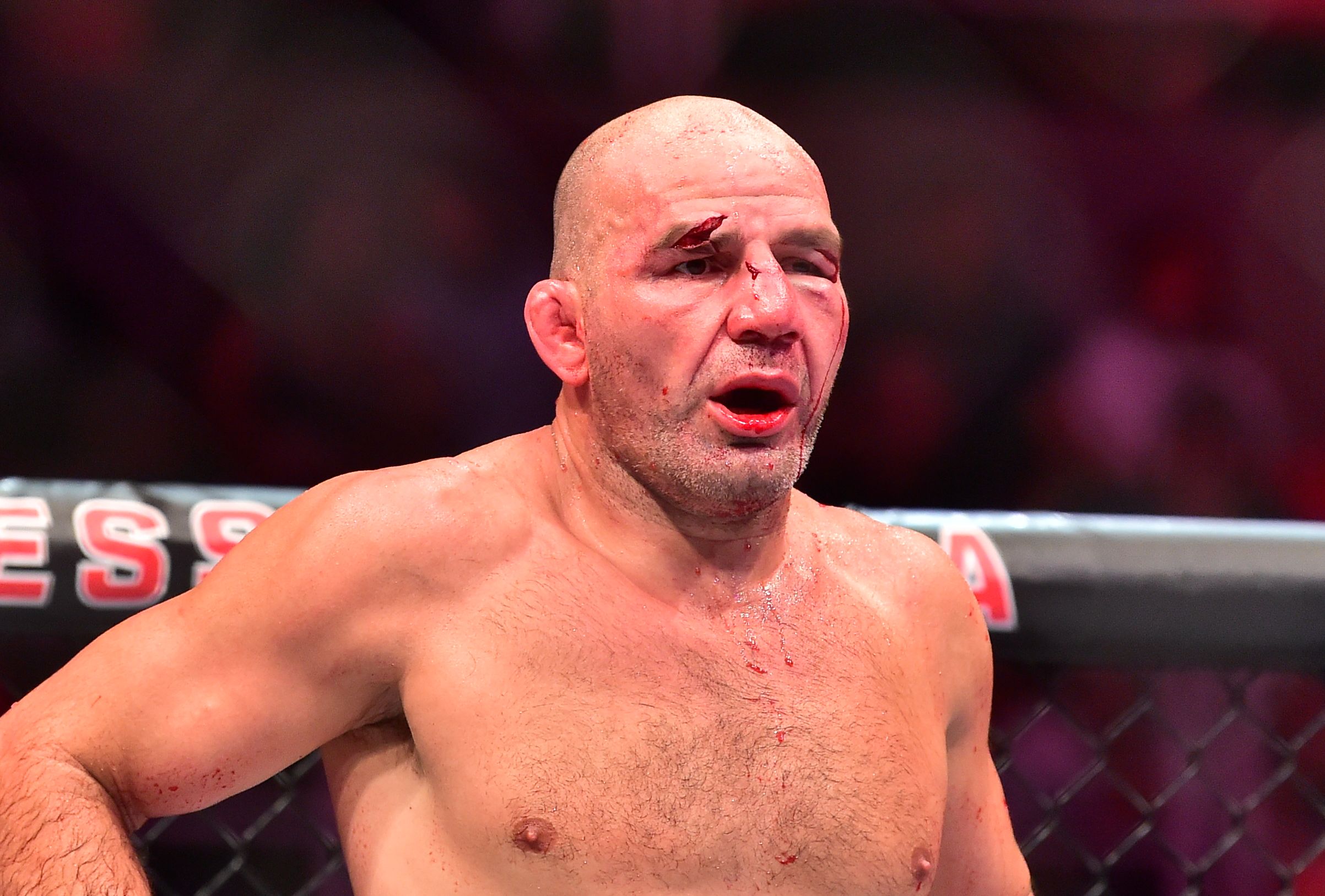 Glover Teixeira Alex Pereira