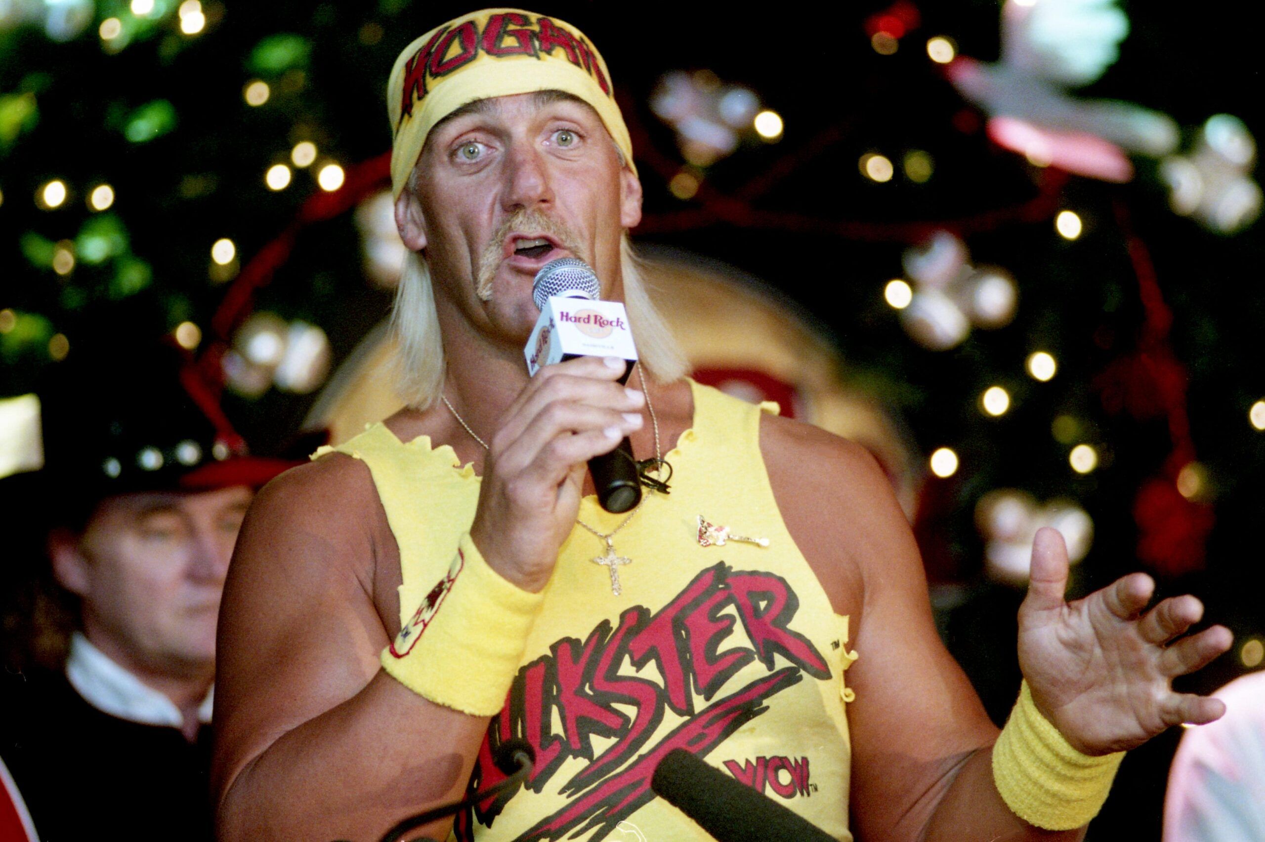 hulk hogan