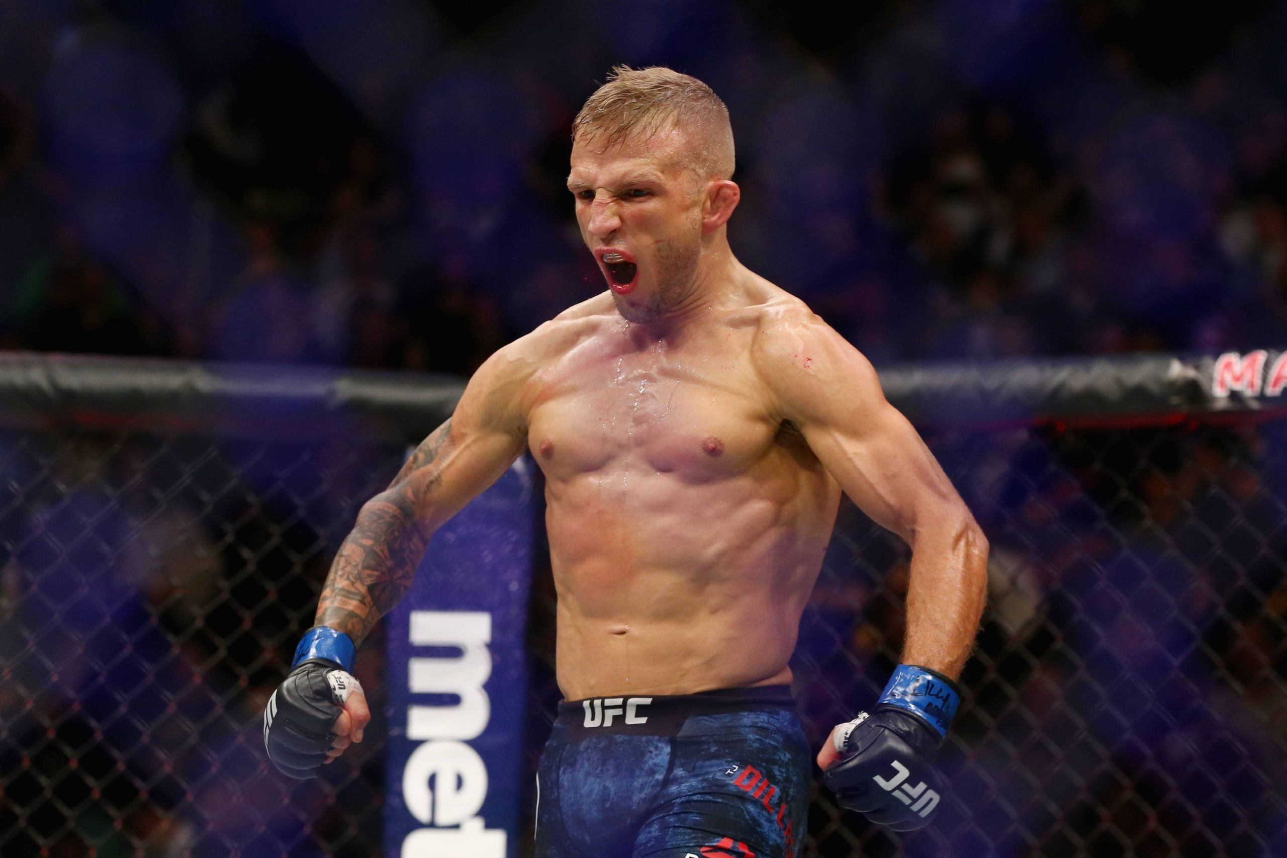 TJ Dillashaw Cody Garbrandt UFC 227