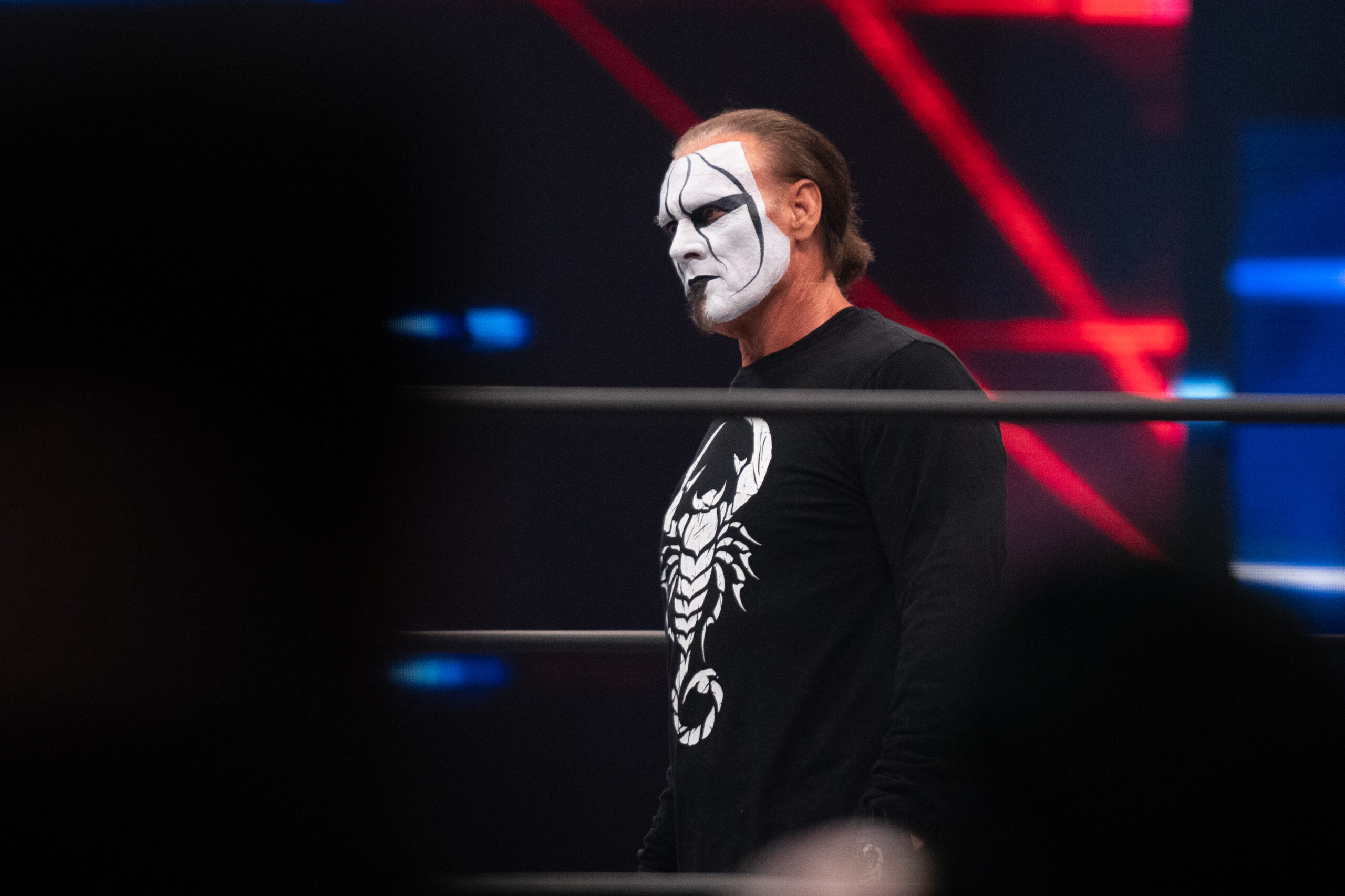 Sting The Young Bucks