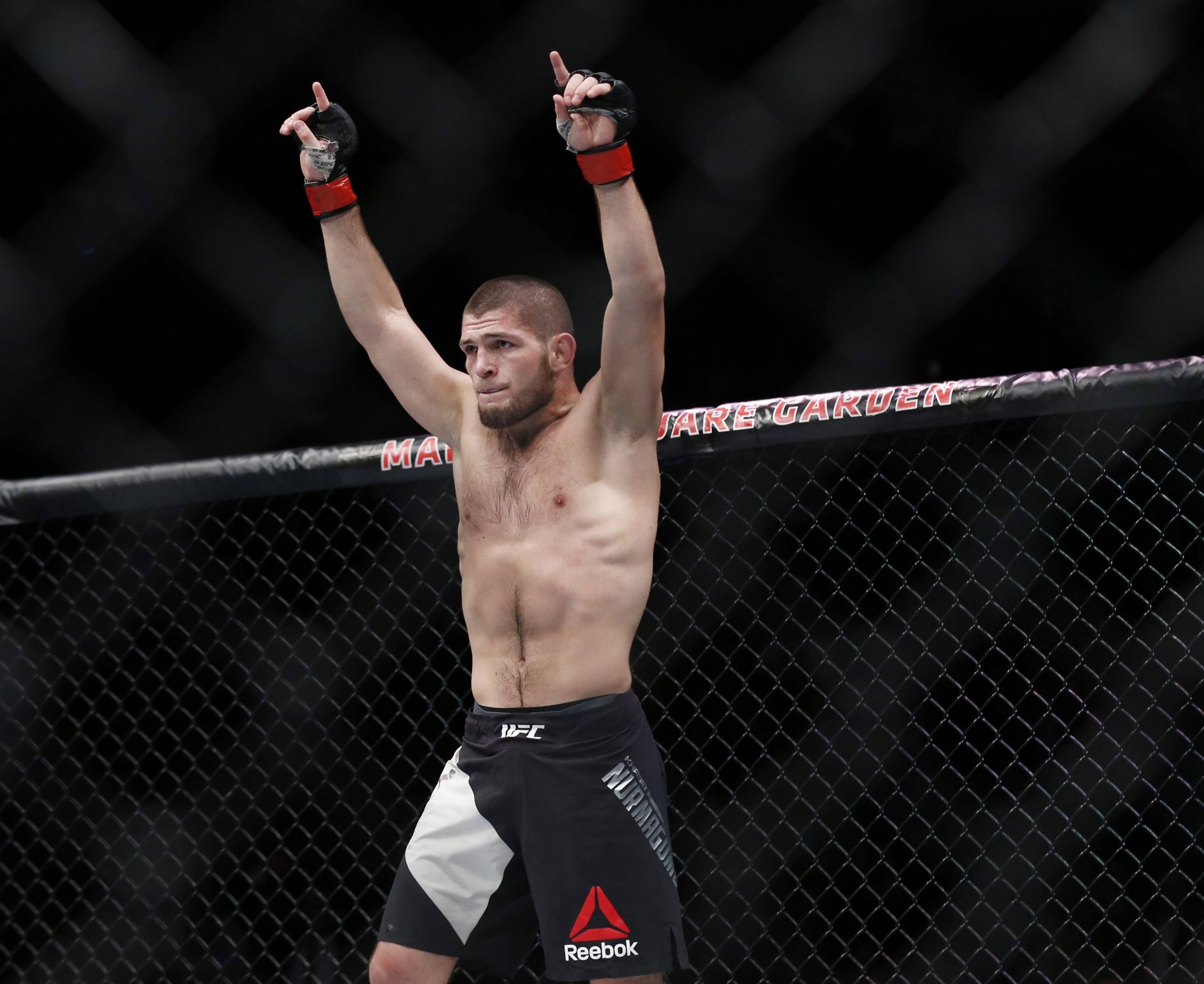 Khabib Nurmagomedov Al Iaquinta UFC 223