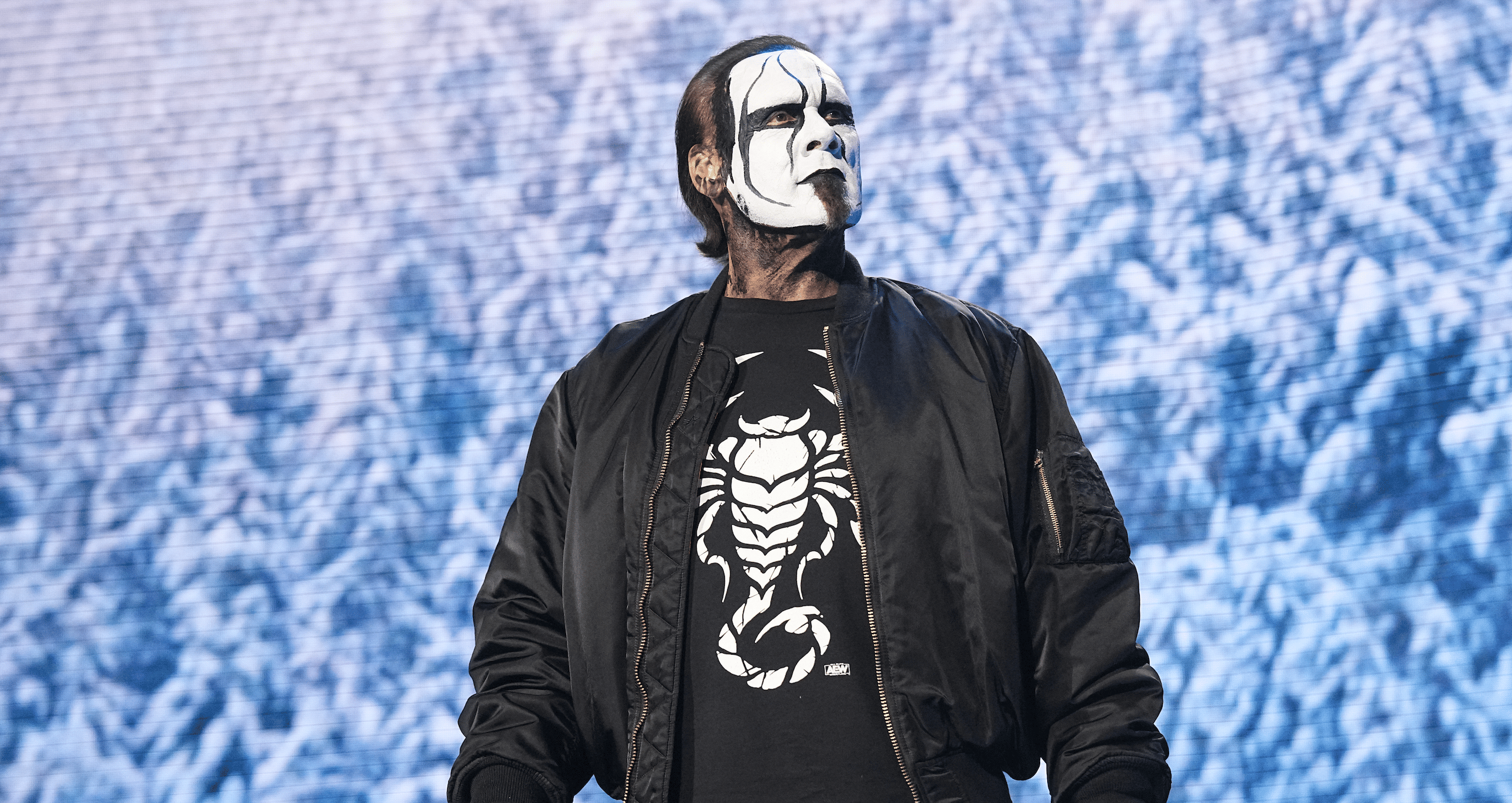 Sting Tag Team Title