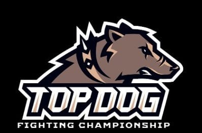 top dog fighting championship