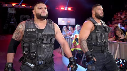 Authors Of Pain Return