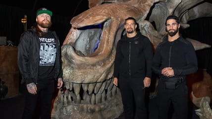 WWE Superstars Tour Game Of Thrones Exhibition (Photos)