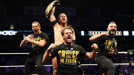 TakeOver In A Nutshell: An Exciting 25th TakeOver