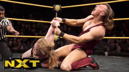 WWE Champion Removed Injured