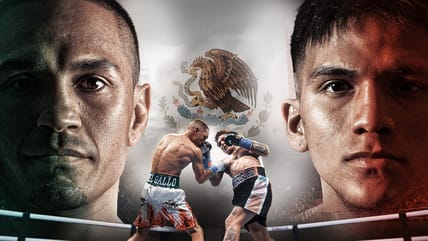 Juan Francisco Estrada