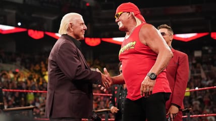 ric flair, hulk hogan