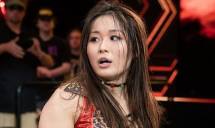 Is NXT Superstar Injured, Tammy Sytch With More Legal Trouble