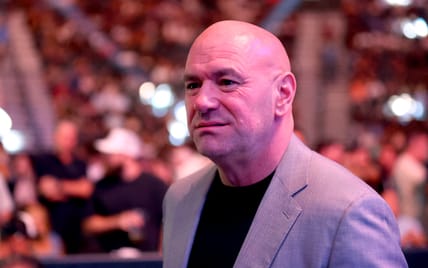 dana white