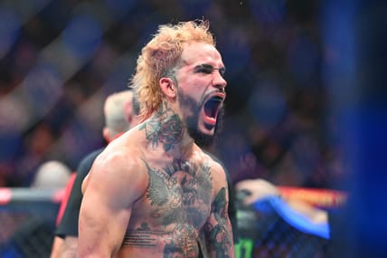 Ramon Taveras UFC