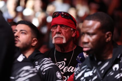 hulk hogan