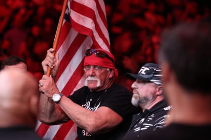 hulk hogan