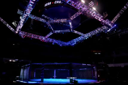 ufc apex
