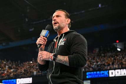 cm punk