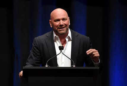 UFC To Debut Special Original Series On Roku In 2024