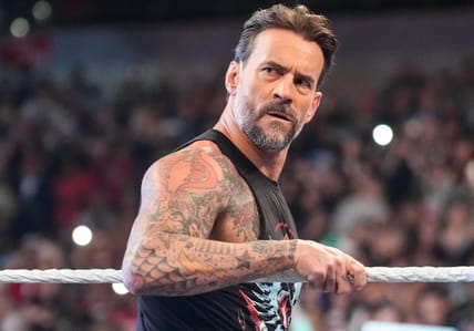 cm punk