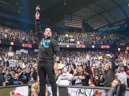 CM Punk